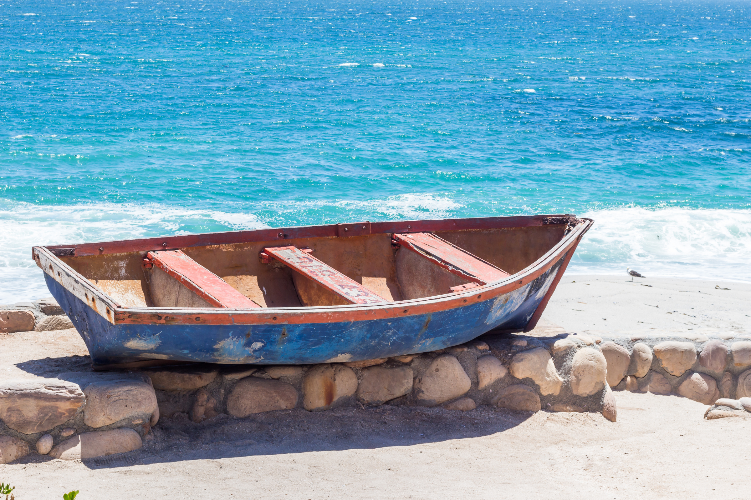 lambert's bay (4).webp